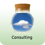 Consulting